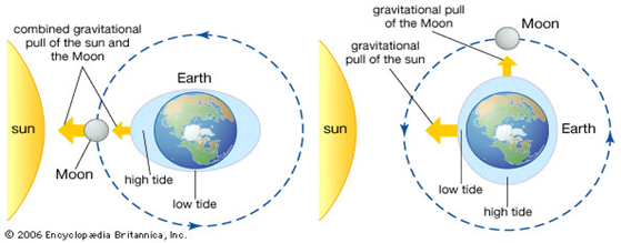 gravitational-pull-of-tides